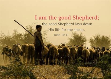 I AM the Good Shepherd