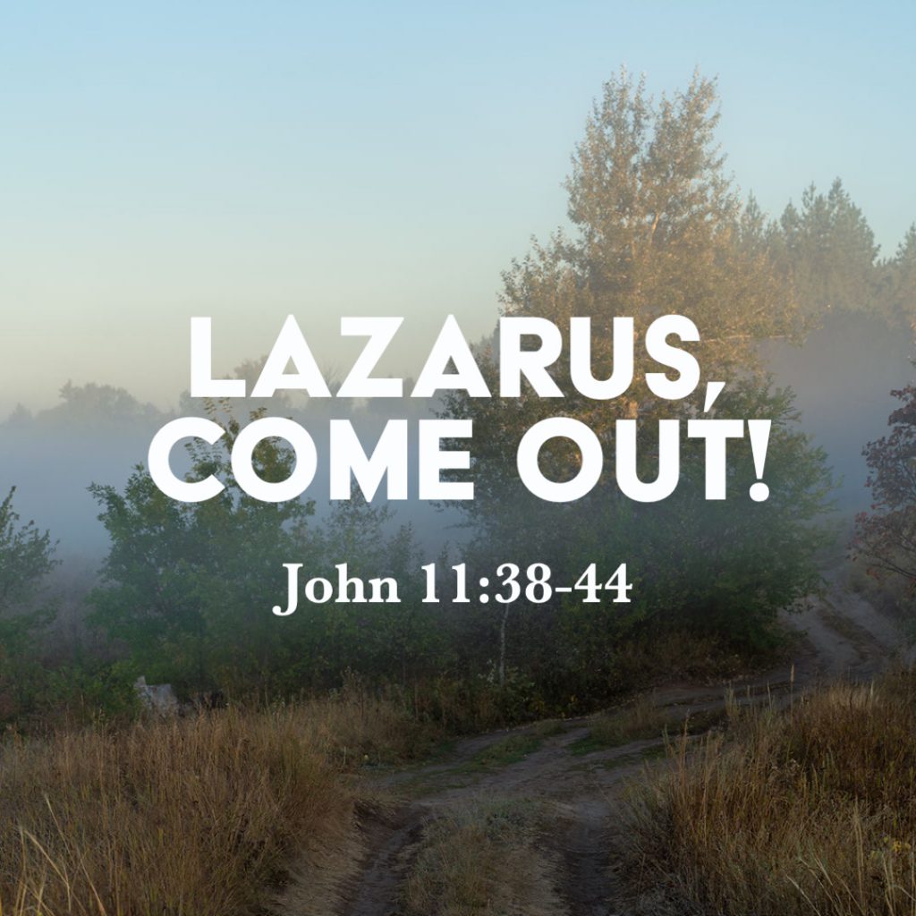 I AM the Resurrection and the Life, Part 2